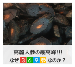 高麗人参の最高峰