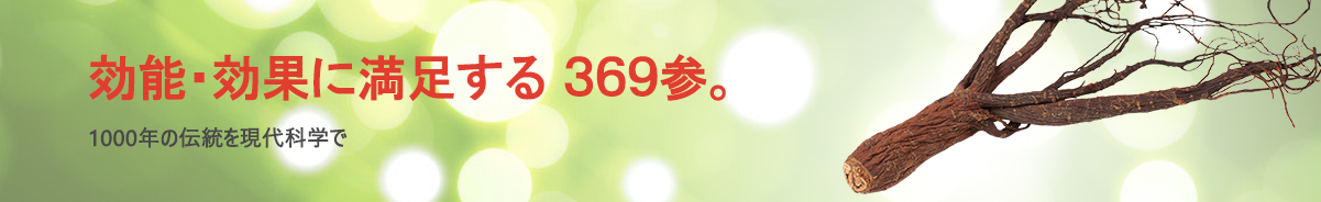 369参高麗人参